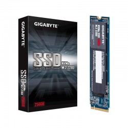 Ổ Cứng SSD 256G Gigabyte M.2 NVMe PCIe Gen3x4 (GP-GSM2NE3256GNTD)