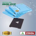 Ổ cứng SSD VSP-256G QVE 860 (Vỏ Nhôm - 500/450MBs)
