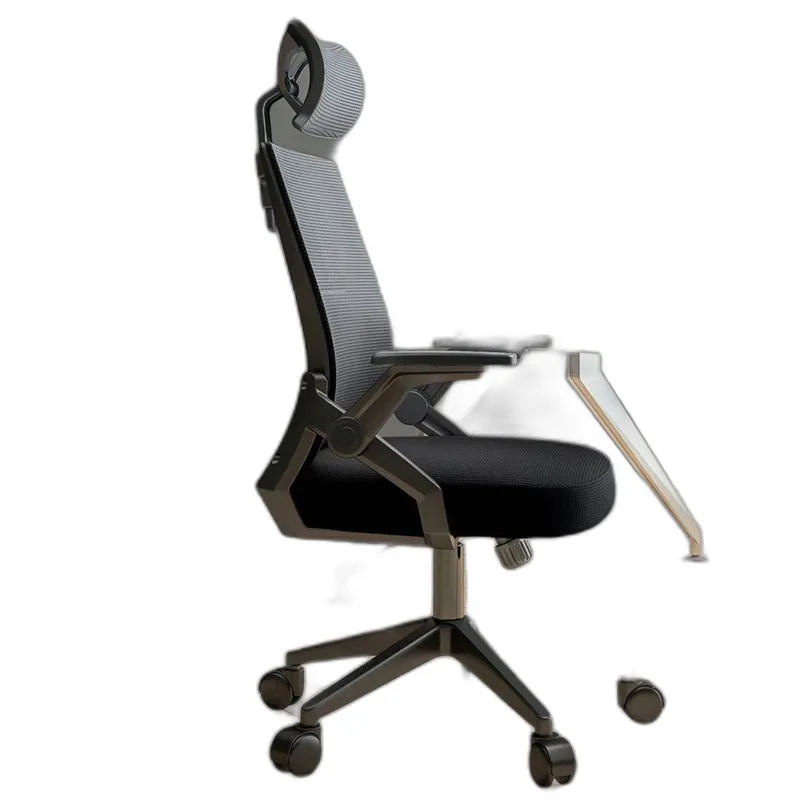 Ghế công thái học Ergonomic TMS04 | Đen