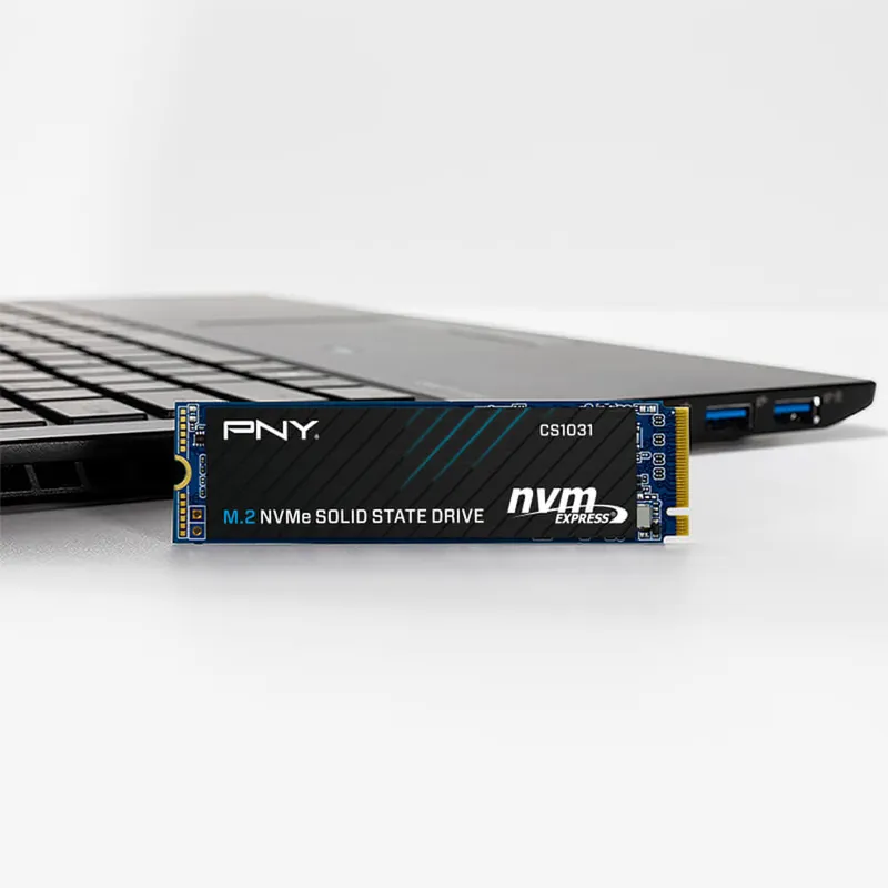 Ổ cứng SSD cũ PNY CS1031 M.2 2280 NVMe PCIe Gen 3x4 500GB M280CS1031-500-CL