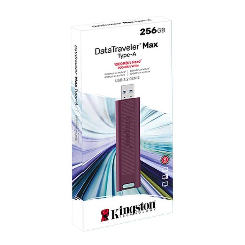 Ổ cứng SSD Kingston DTMAX/256GB