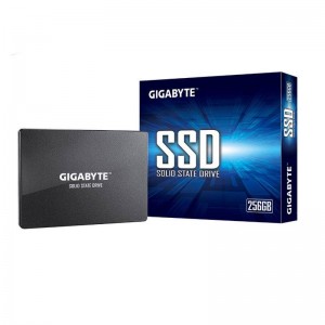 Ổ cứng SSD Gigabyte GSTFS31256GTND