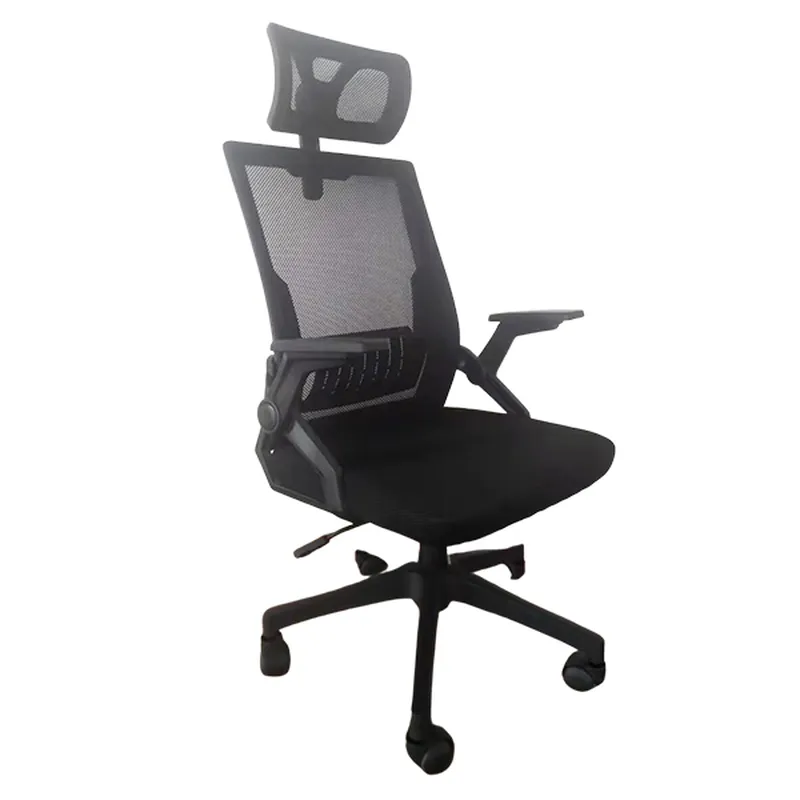 Ghế công thái học Ergonomic E-Dra EEC218 | Đen