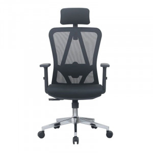 Ghế công thái học E DRA EEC213 | Đen, 120kg, Chân xoay, Lưng lưới