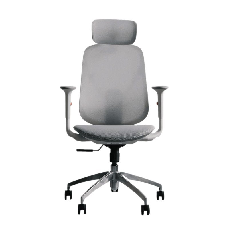 Ghế công thái học Epione ElysChair Cool Gray | Lưng lưới, Kèm tựa đầu, Xám