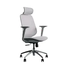 Ghế công thái học Epione ElysChair Cool Gray | Lưng lưới, Kèm tựa đầu, Xám