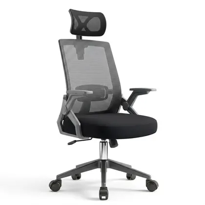 Ghế Văn Phòng Manson Ergonomic | Màu Đen, Công thái học, Tay Gập
